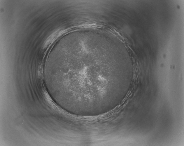 X0000054390002200508011305