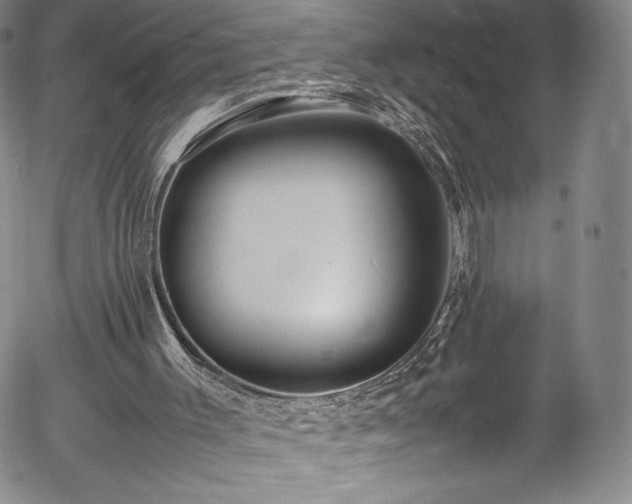 X0000054390003200508011305