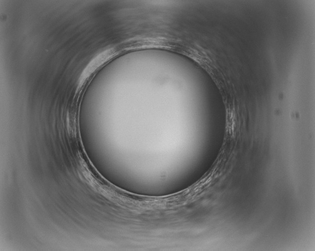 X0000054390004200508011305