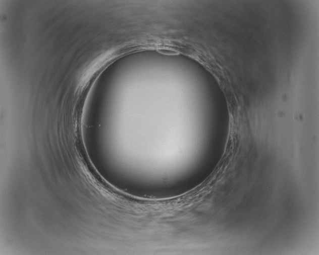 X0000054390005200508011305