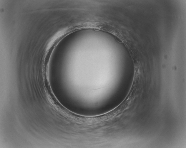 X0000054390006200508011305