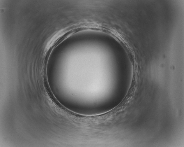 X0000054390007200508011305