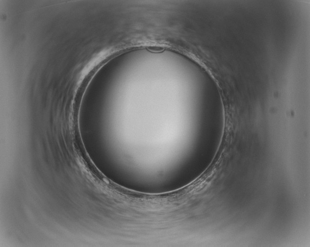 X0000054390008200508011305