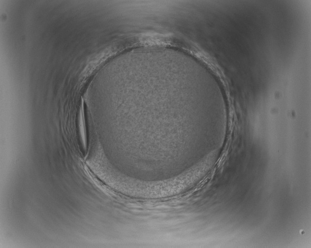 X0000054390009200508011305