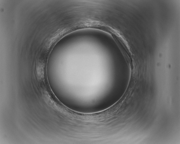 X0000054390010200508011305