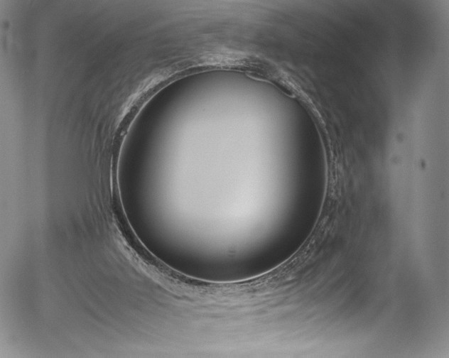 X0000054390011200508011305