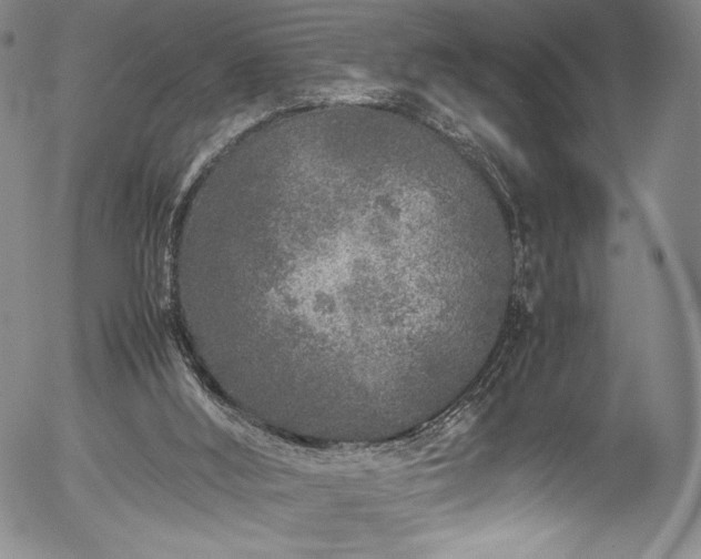 X0000054390012200508011305