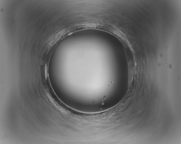 X0000054390013200508011305