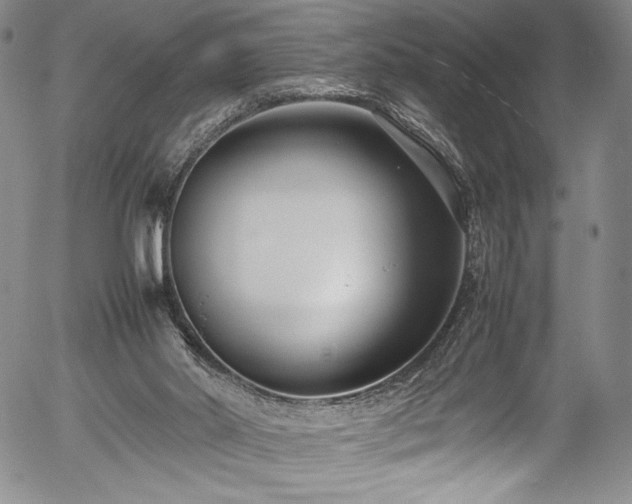 X0000054390014200508011305