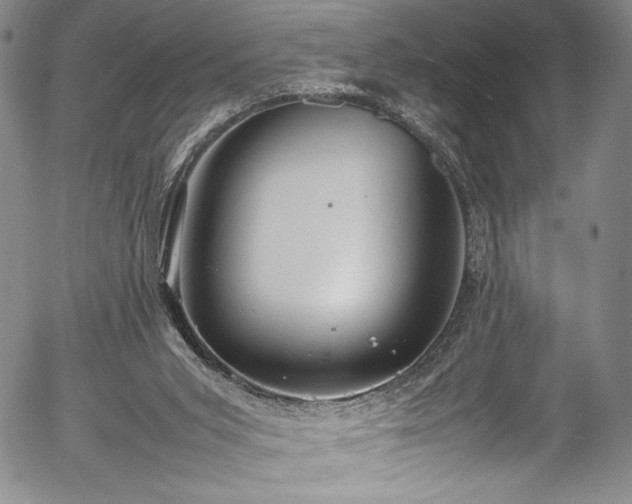 X0000054390015200508011305