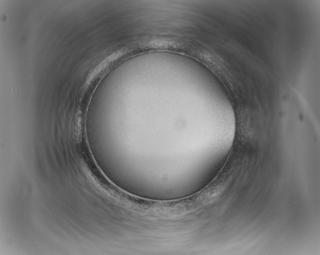 X0000054390016200508011305