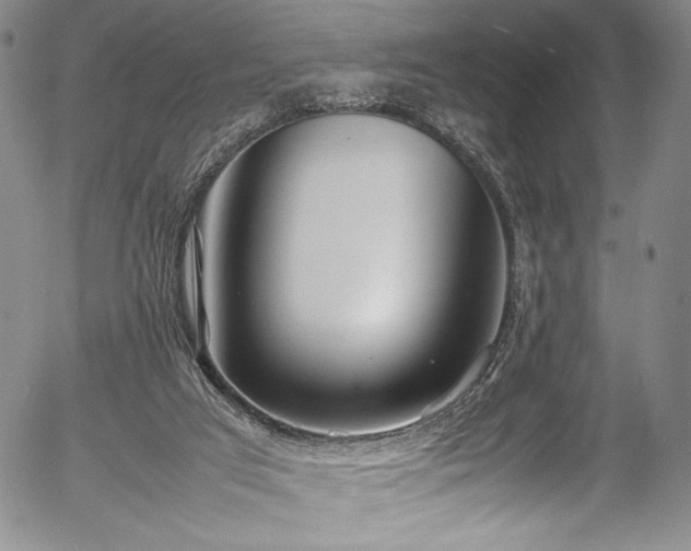 X0000054390017200508011305