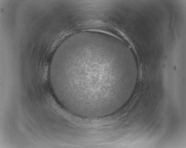 X0000054390018200508011305