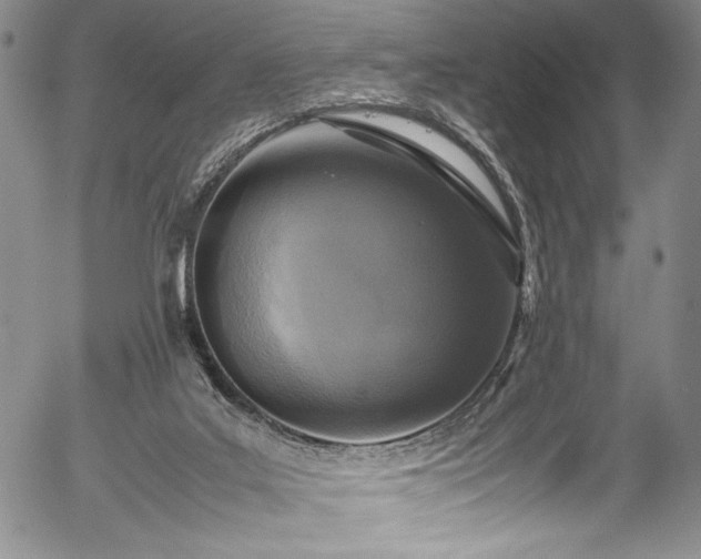 X0000054390019200508011305