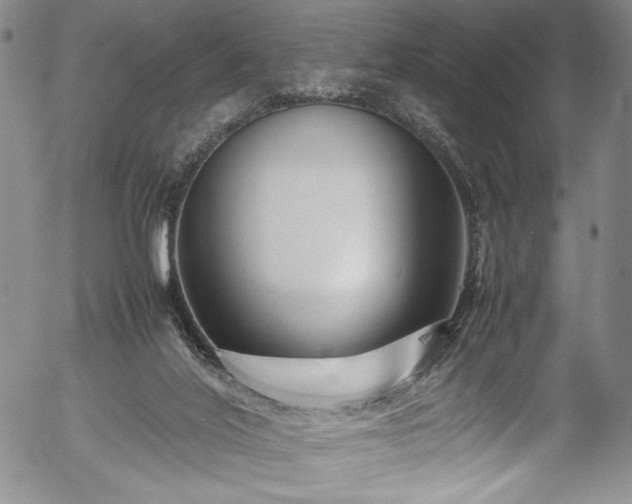 X0000054390020200508011305