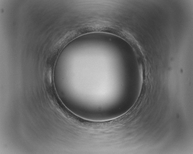 X0000054390021200508011305