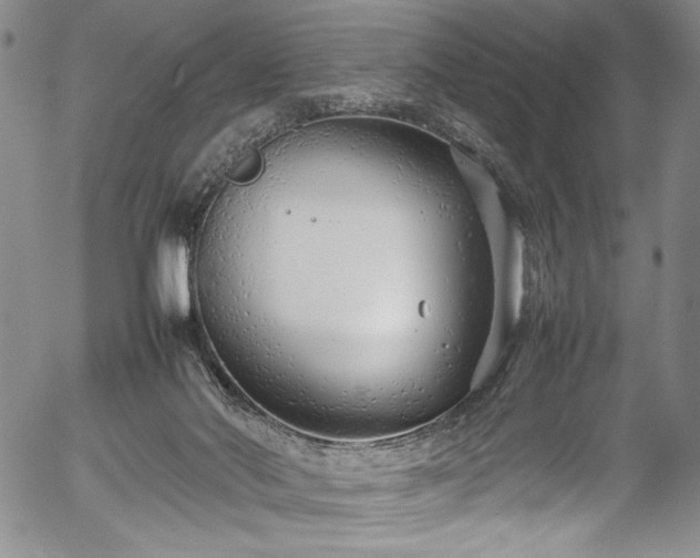 X0000054390022200508011305