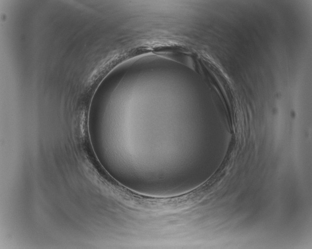 X0000054390023200508011305