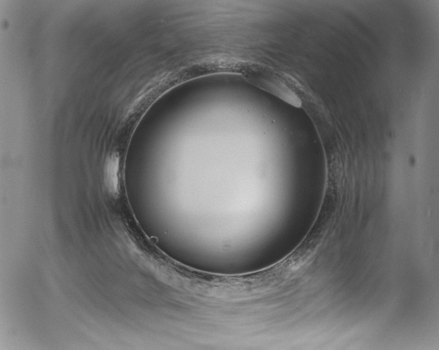 X0000054390024200508011305