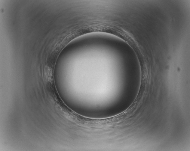 X0000054390025200508011305