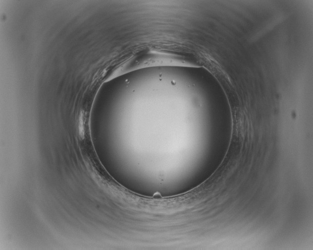 X0000054390026200508011305