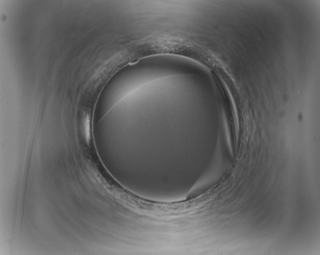 X0000054390027200508011305