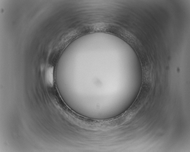 X0000054390028200508011305