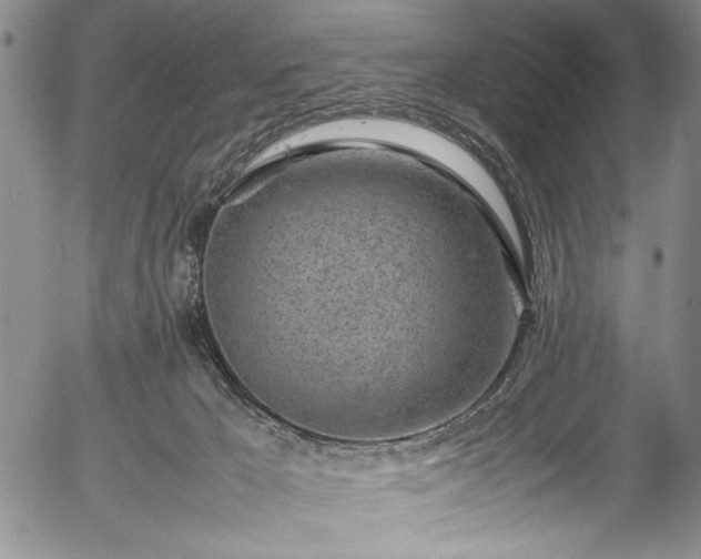 X0000054390029200508011305