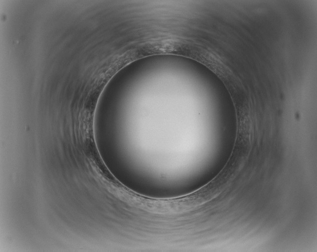 X0000054390030200508011305