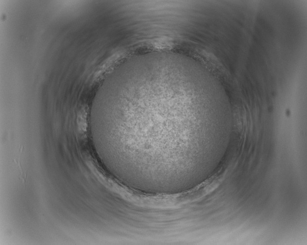 X0000054390032200508011305