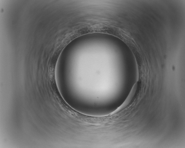 X0000054390033200508011305