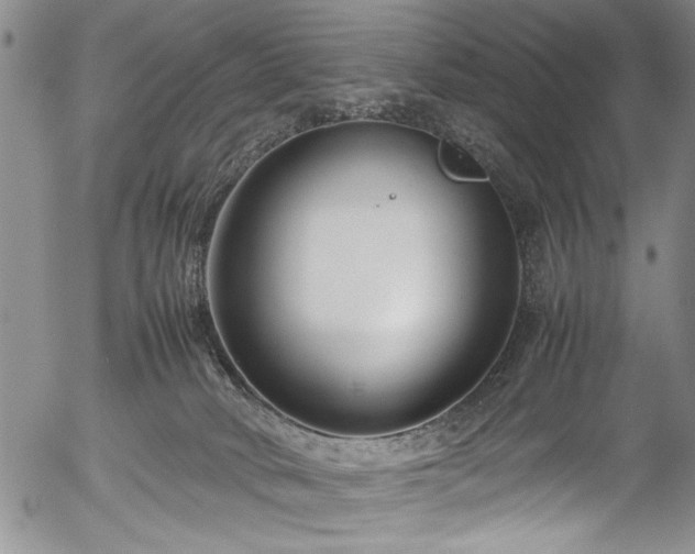 X0000054390034200508011305