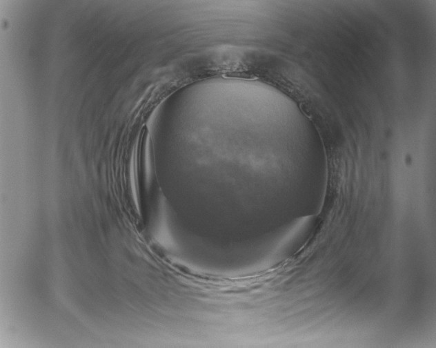 X0000054390035200508011304