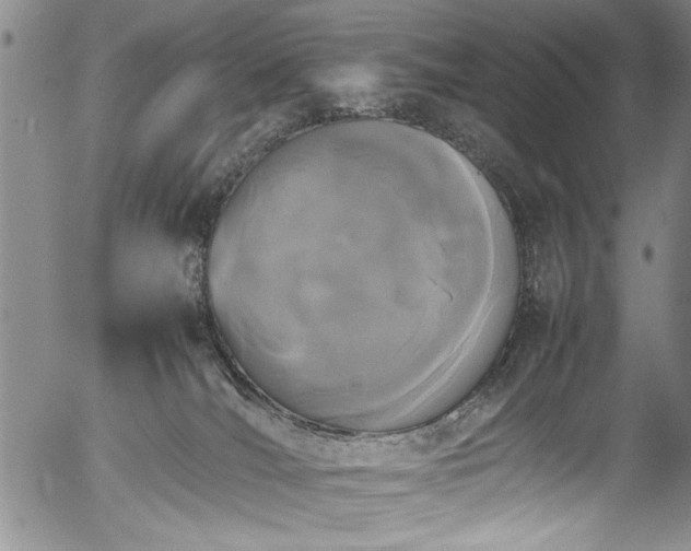 X0000054390036200508011304