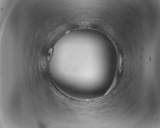 X0000054390037200508011304