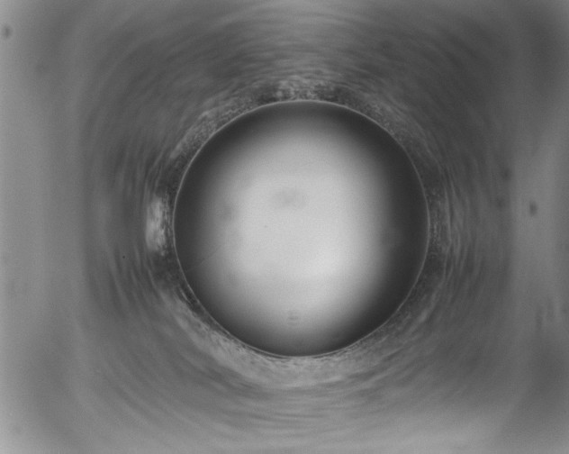 X0000054390038200508011304