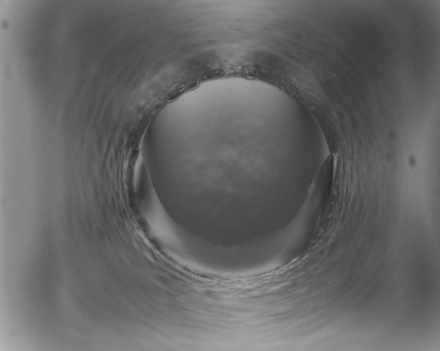 X0000054390039200508011304