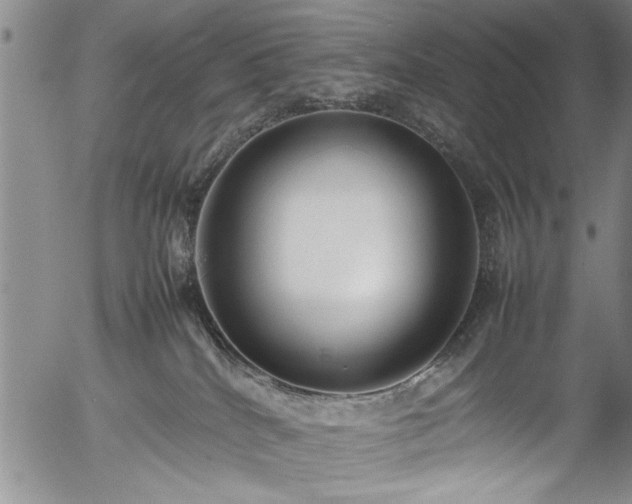 X0000054390040200508011304