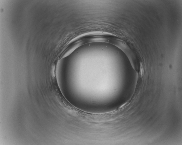 X0000054390041200508011304