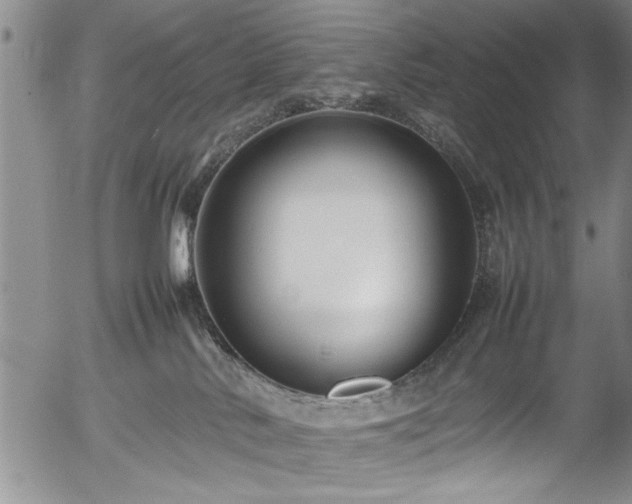 X0000054390042200508011304