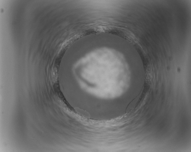 X0000054390043200508011304