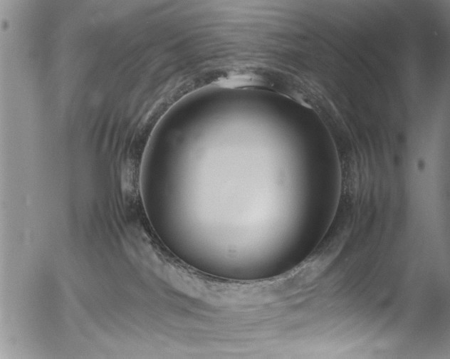 X0000054390044200508011304