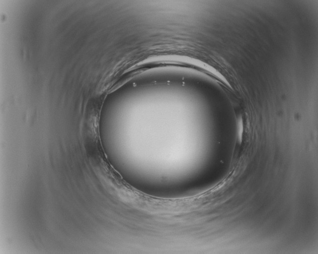 X0000054390045200508011304