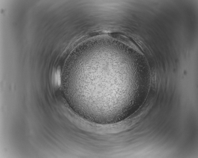 X0000054390046200508011304