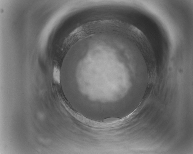 X0000054390047200508011304