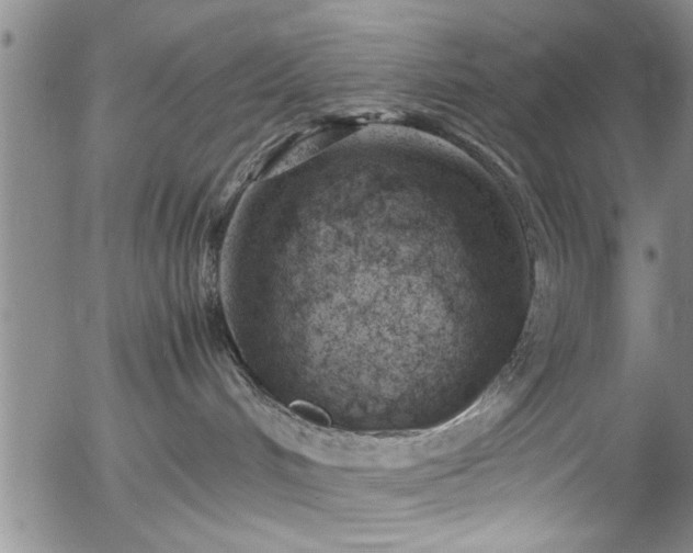 X0000054390048200508011304