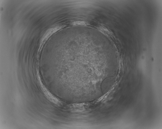 X0000054390049200508011303