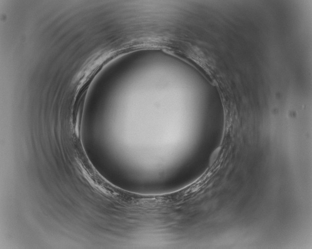 X0000054390050200508011303