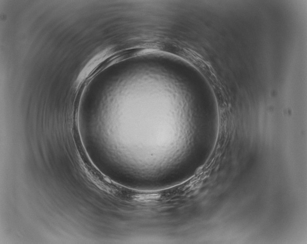 X0000054390051200508011303