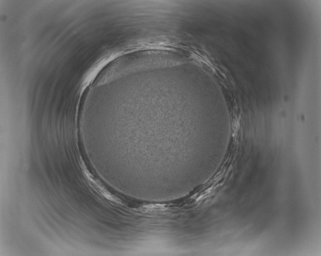 X0000054390052200508011303